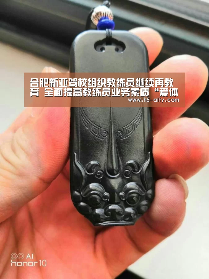 合肥新亚驾校组织教练员继续再教育 全面提高教练员业务素质“爱体育”(图4) 爱体育