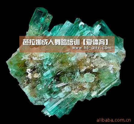 芭拉娜成人舞蹈培训【爱体育】(图1) 爱体育